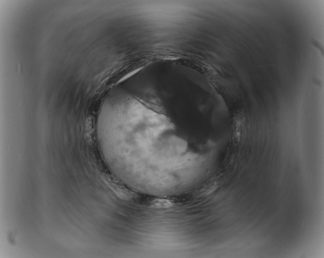 X0000102230519200808081350
