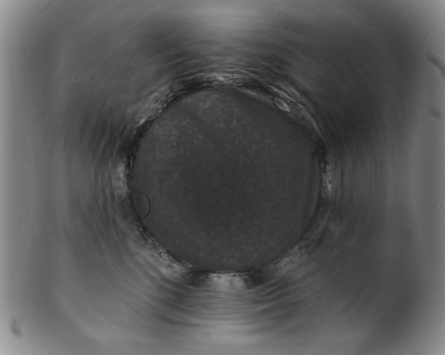 X0000102230520200808081350