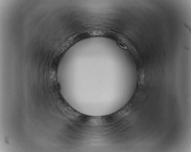X0000102230521200808081350