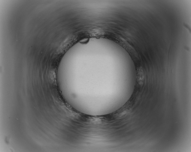 X0000102230523200808081350