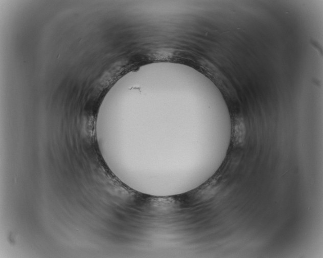 X0000102230525200808081350