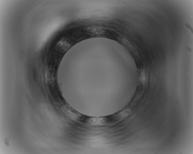 X0000102230526200808081350