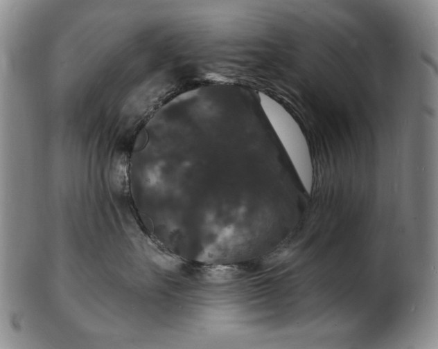 X0000102230527200808081350