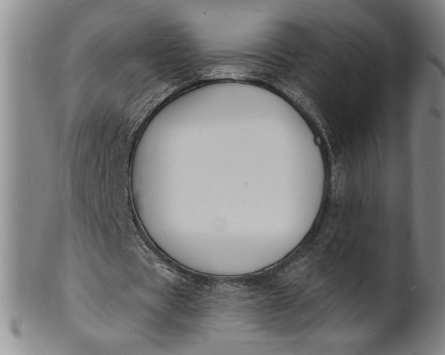 X0000102230529200808081350