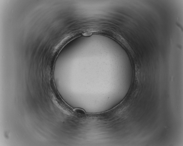 X0000102230530200808081350