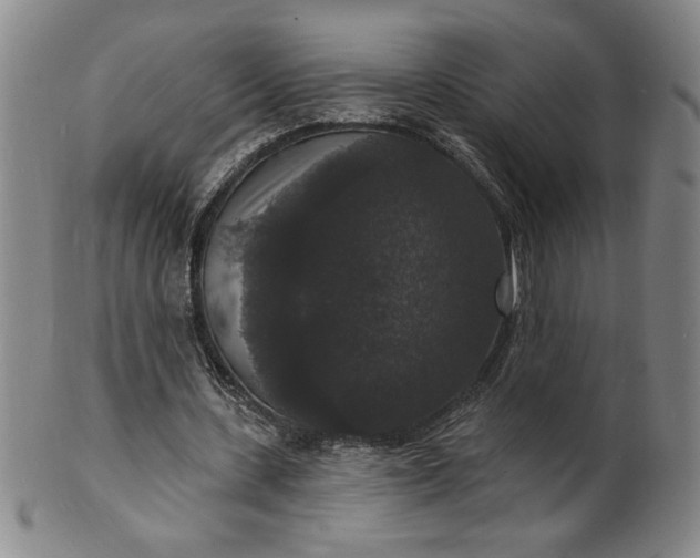 X0000102230531200808081350
