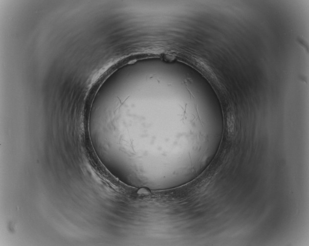 X0000102230532200808081350