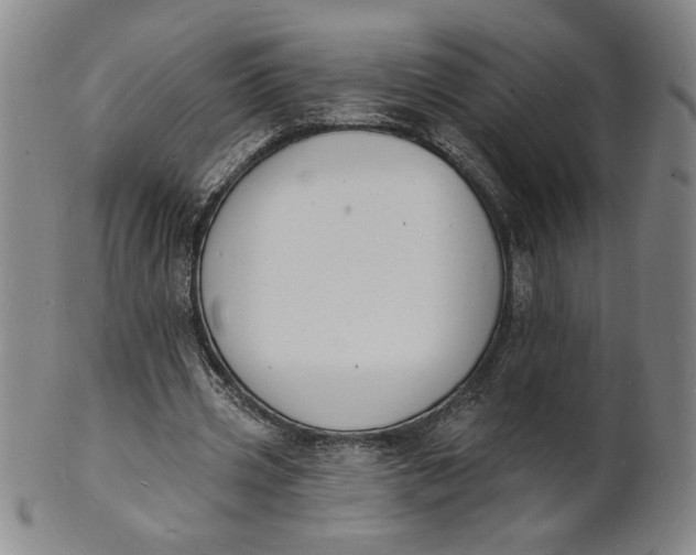 X0000102230533200808081350