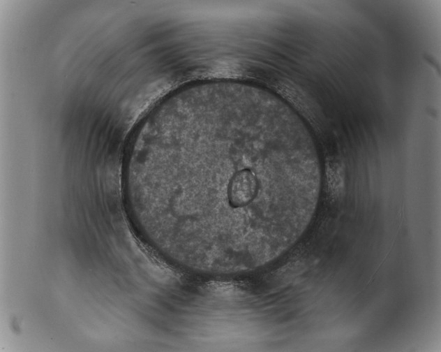 X0000102230534200808081350