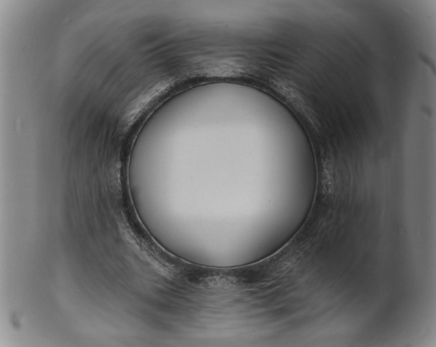 X0000102230535200808081350