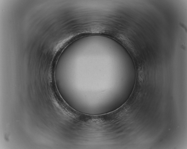 X0000102230536200808081350