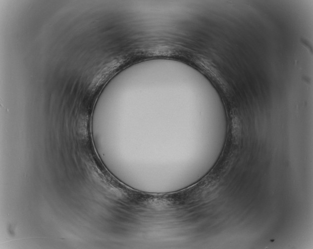X0000102230537200808081350