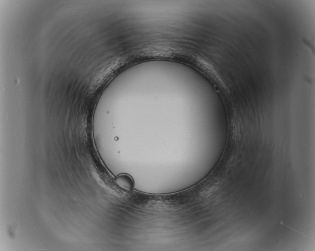 X0000102230538200808081350