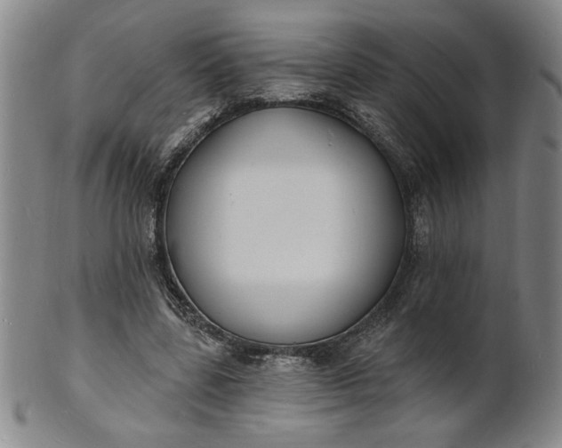 X0000102230539200808081350