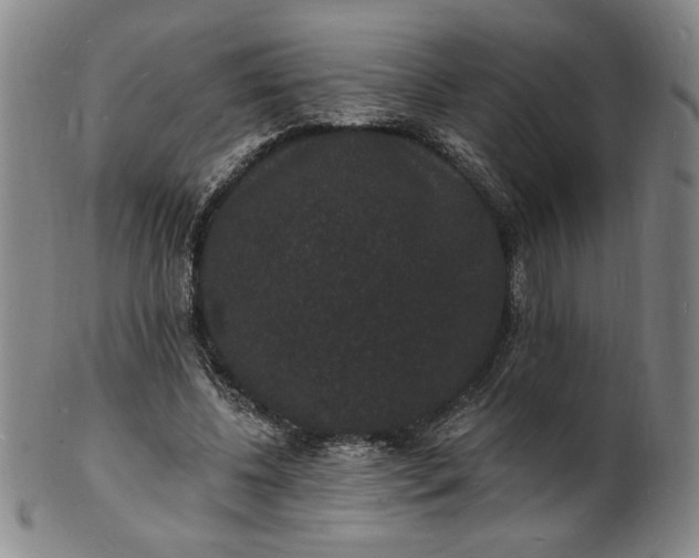 X0000102230540200808081350