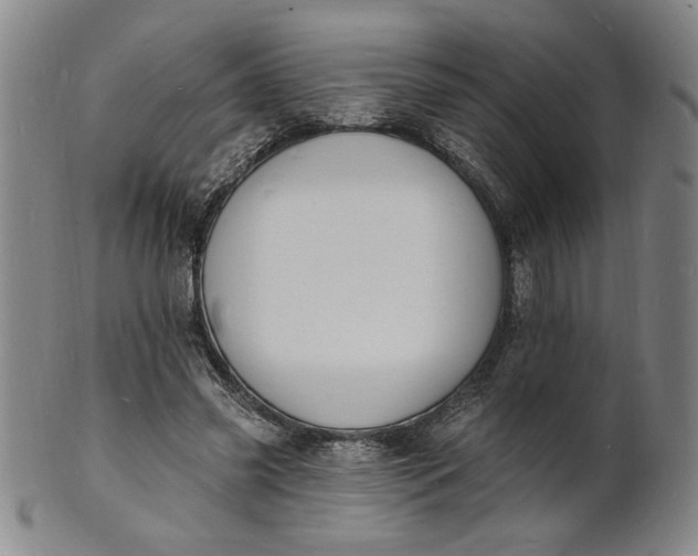 X0000102230541200808081350