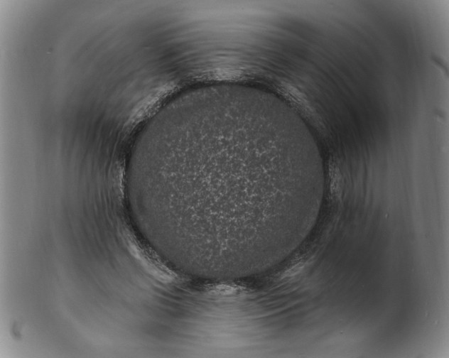 X0000102230542200808081350