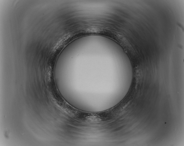X0000102230544200808081350