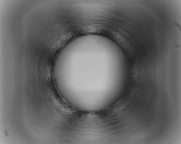 X0000102230546200808081350