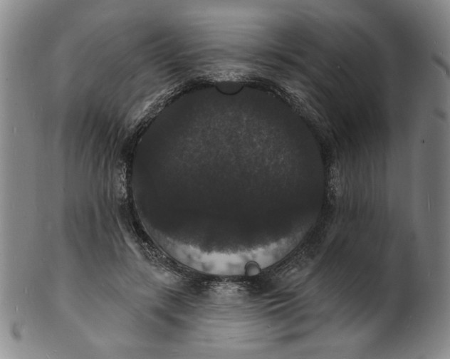 X0000102230547200808081350
