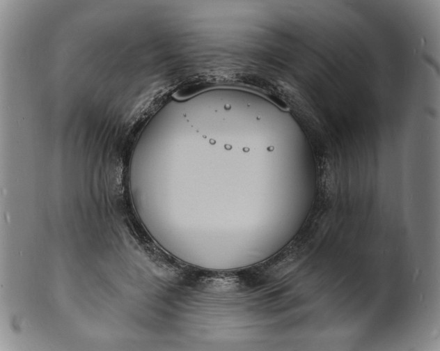 X0000102230548200808081350