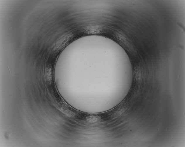 X0000102230549200808081350
