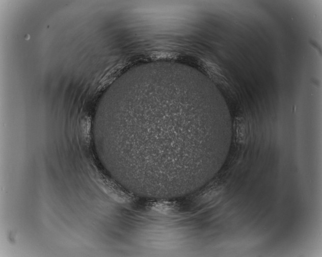 X0000102230550200808081350
