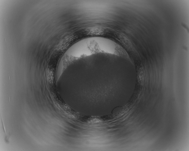 X0000102230551200808081350
