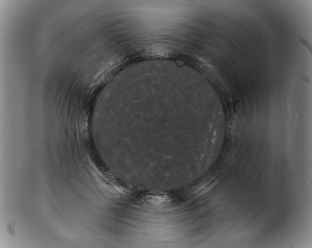 X0000102230552200808081350