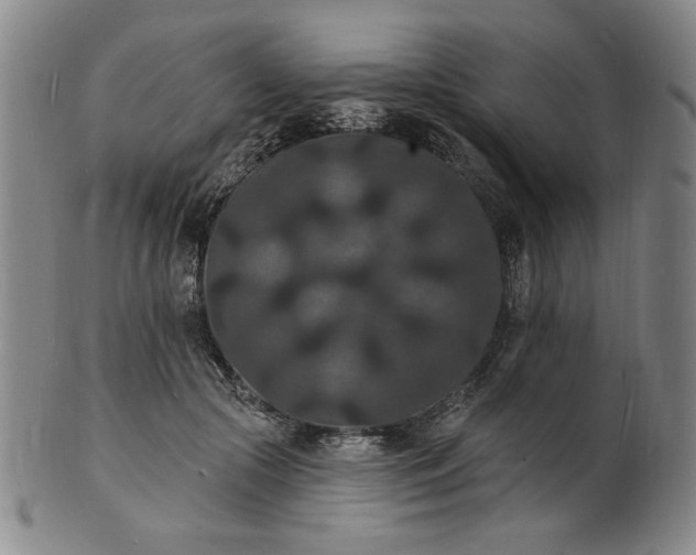 X0000102230553200808081350
