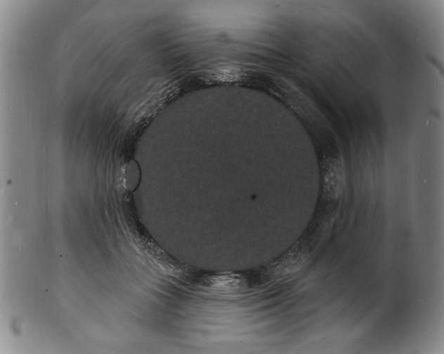X0000102230555200808081350
