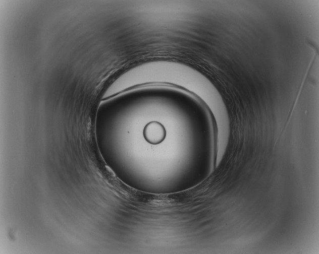 X0000102230556200808081350