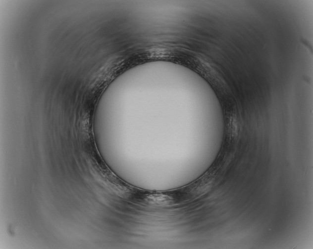 X0000102230557200808081350