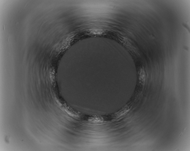 X0000102230559200808081350