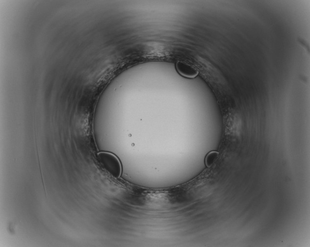 X0000102230560200808081350