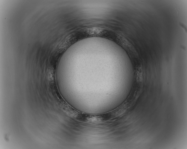 X0000102230561200808081350