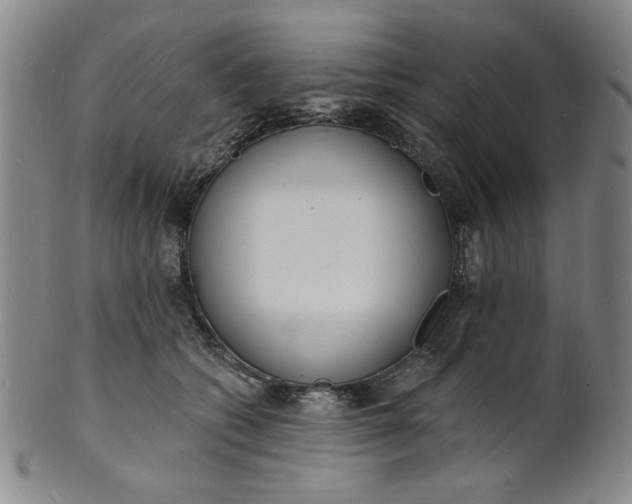 X0000102230562200808081350