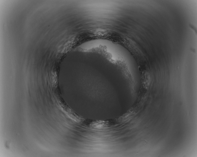 X0000102230563200808081350