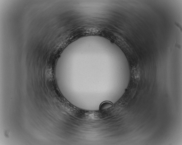 X0000102230564200808081350