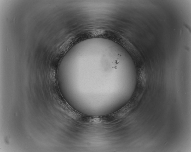 X0000102230565200808081350