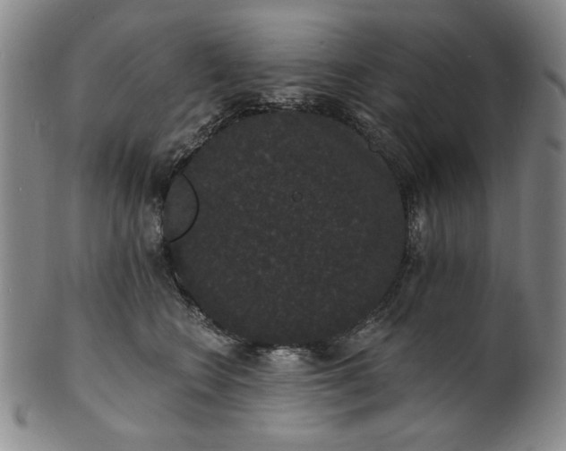 X0000102230566200808081350