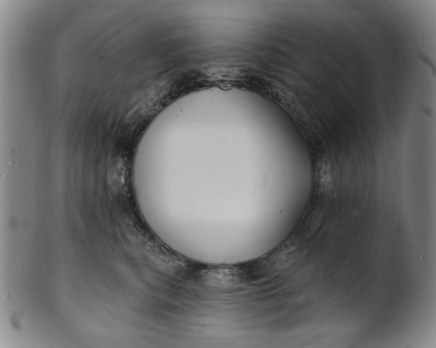 X0000102230567200808081350