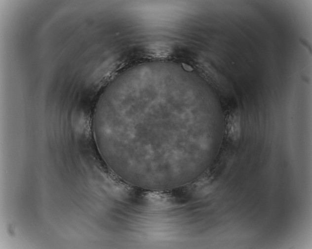 X0000102230568200808081350