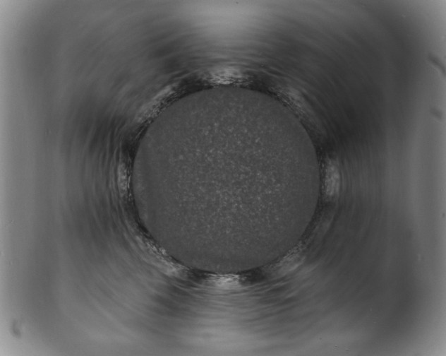 X0000102230569200808081350