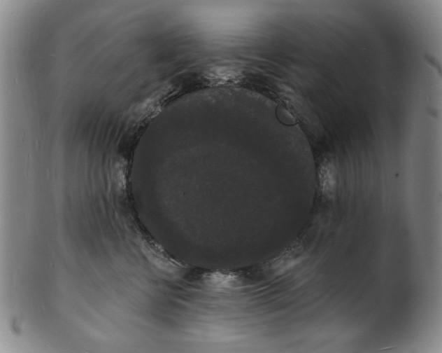X0000102230570200808081350