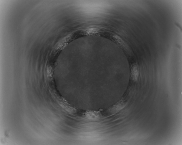 X0000102230571200808081350