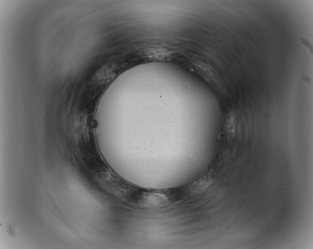 X0000102230572200808081350