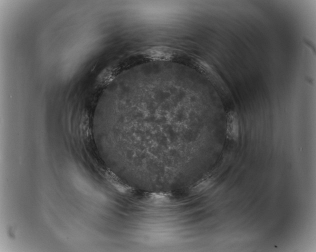 X0000102230573200808081350