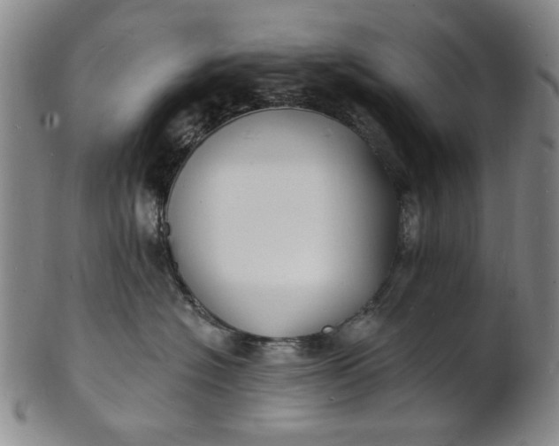 X0000102230574200808081350