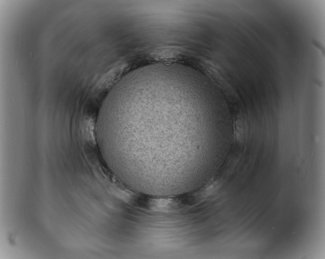 X0000102230575200808081350